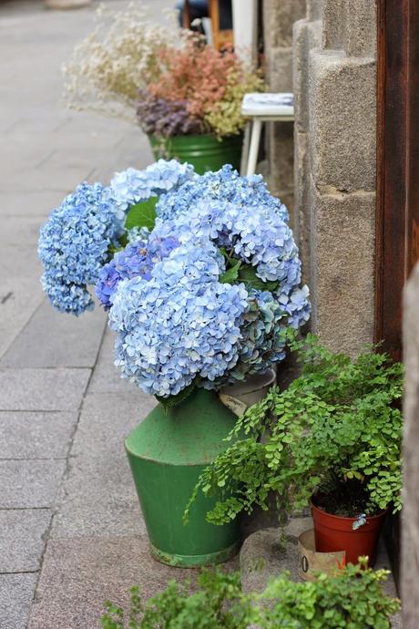 summer memories (1ª parte) summer memories (1ª parte)