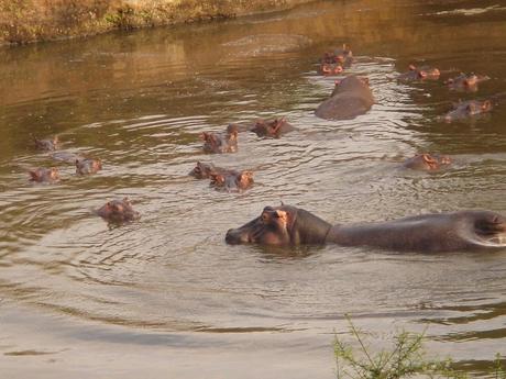 3 semanas en Kenia