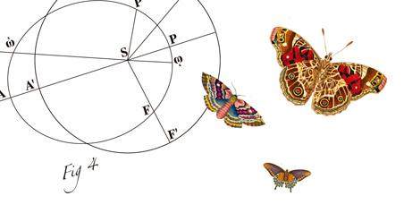 Mariposas Paraíso de unos, infierno de otros