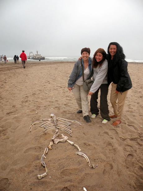Costa de los Esqueletos en Namibia