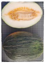 conlaneveravacia.blogspot.com MELÓN