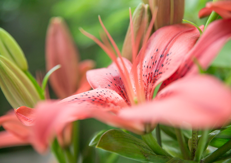 Merveillance Expert de Nuxe Merveillance Expert de Nuxe