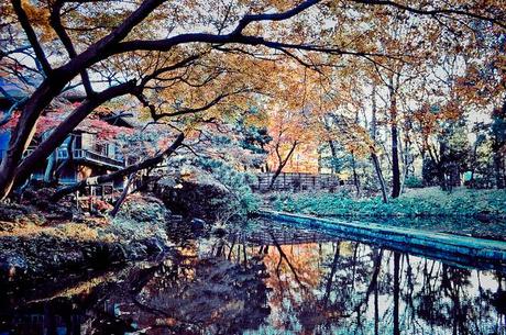 Koishikawa Korakuen (小石川後楽園) Koishikawa Korakuen