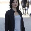 Puñado de imágenes de Agents of S.H.I.E.L.D. 2×01 – Shadows