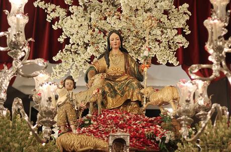 Galería fotográfica de la procesión de la Divina Pastora de Cantillana (II)