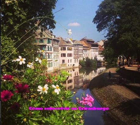 Oh la la, la France!! Oh la la, la France!!