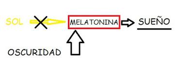 Melatonina...contra el insomnio...  ¿Qué pasa en España??