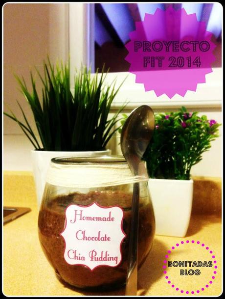 PROYECTO FIT 2014 PUDDING DE SEMILLAS DE CHÍA Y CHOCOLATE Pudding Semillas Chia 1