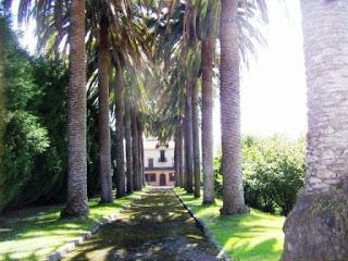 Colombres, Casa de Las Palmeras Colombres, La casa de las palmeras