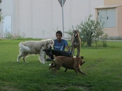 Otoño entrante, barriga tirante. Otoño entrante, barriga tirante.