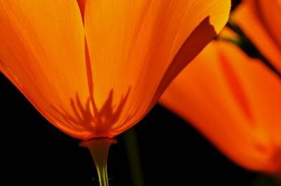 66. GRACIAS MIREN 66. GRACIAS MIREN