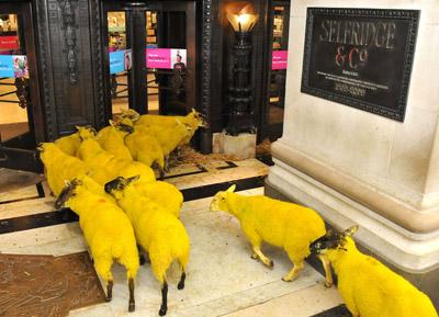 Curiosidades: Un rebaño de ovejas amarillas se va de compras a Selfridges, en Londres