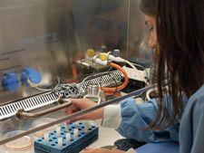 Primer ensayo en humanos con células madre embrionarias Primer ensayo en humanos con células madre embrionarias