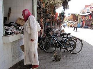 Animales en Marruecos I