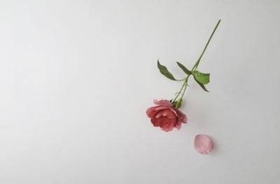 Yoshihiro Suda. Rose, 2013. Galería Elvira González