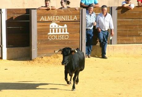 GRAN AMBIENTE EN LA SUELTA DE VAQUILLAS DE ALMEDINILLA