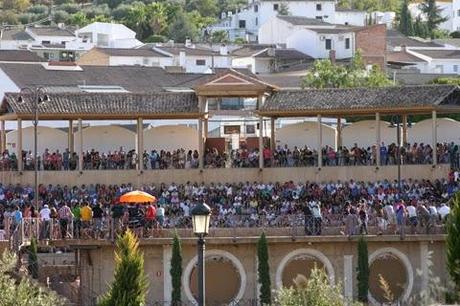 GRAN AMBIENTE EN LA SUELTA DE VAQUILLAS DE ALMEDINILLA