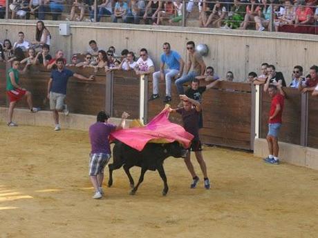 GRAN AMBIENTE EN LA SUELTA DE VAQUILLAS DE ALMEDINILLA