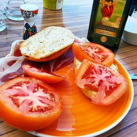 Apuntes gastronómicos en el Camino de Santiago. Queda mucho por hacer. Apuntes gastronómicos en el Camino de Santiago. Queda mucho por hacer.