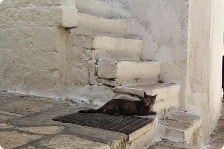 cisternino5 cisternino5