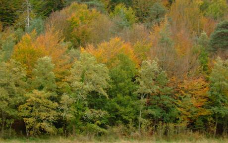 Vasconia en dos ruedas: el confín de Álava. paletaclara