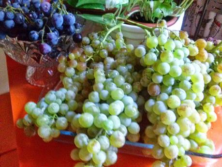 Gazpacho con Uvas Gazpacho con Uvas