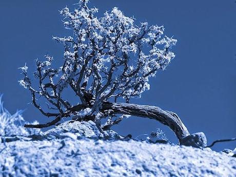 CONCURSO DE FOTOGRAFÍA AZUL/BLUE - España 2014 - Ganador en el 2do Puesto