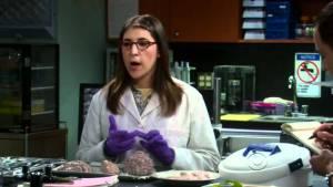 10 cosas que no sabías de The Big Bang Theory - 8