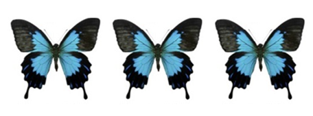 Reseña: Quiero que conozcas a alguien Reseña: Quiero que conozcas a alguien