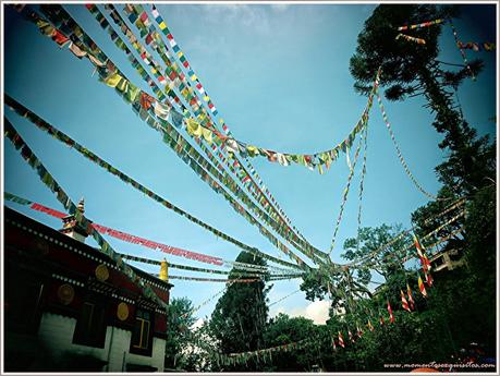 Tour around Kathmandu!