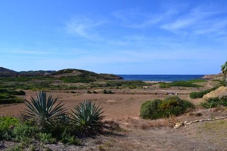 Binimel.la Binimel.la