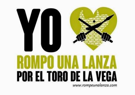 Se celebra la salvajada del Toro de la Vega toro de la vega