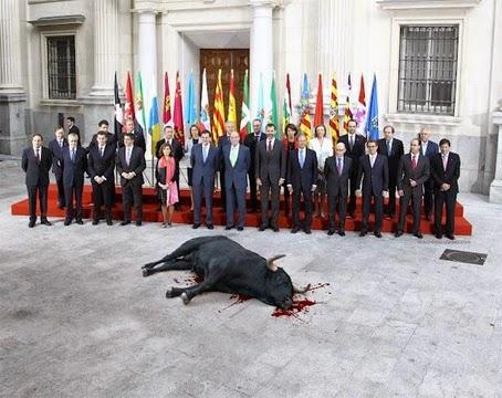 Se celebra la salvajada del Toro de la Vega toro de la vega