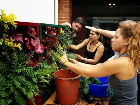 Curso de jardines verticales en Colombia