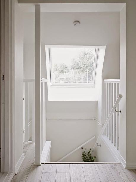 Verde sobre blanco. Decorar con plantas Verde sobre blanco. Decorar con plantas