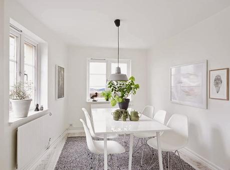 Verde sobre blanco. Decorar con plantas Verde sobre blanco. Decorar con plantas