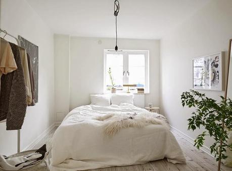 Verde sobre blanco. Decorar con plantas Verde sobre blanco. Decorar con plantas