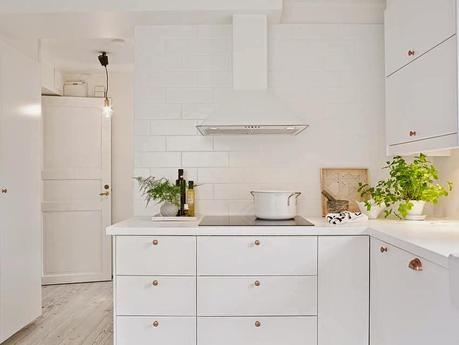 Verde sobre blanco. Decorar con plantas Verde sobre blanco. Decorar con plantas