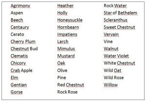 Flores de Bach, ¿qué son y para qué sirven? 38 esencias florales