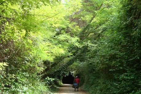 Reivindicación ciclista por el tramo vía verde de Ojos Negros Reivindicación ciclista por el tramo vía verde de Ojos Negros