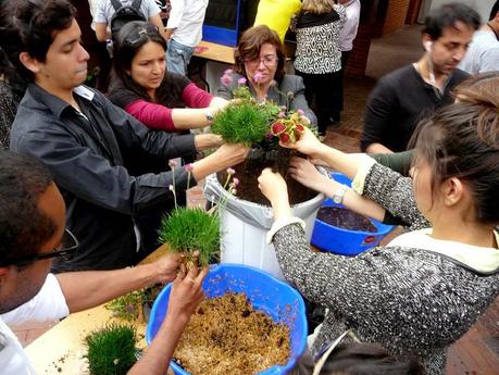 Curso de jardines verticales en Bogotá. Práctica.