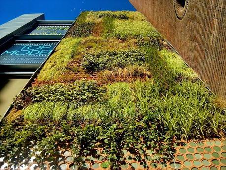 Curso de jardines verticales en Colombia. 11 y 12 de Septiembre de 2014. Fachada vegetal Barcelona