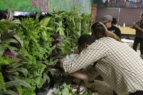 Curso de jardines verticales en Madrid 9 y 10 de Mayo Cursos de jardines verticales