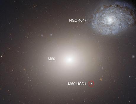 Una galaxia con sobrepeso Una galaxia con sobrepeso
