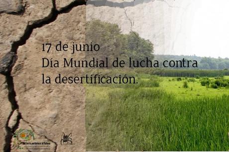 el 17 de junio es el día mundial de lucha contra la desertización.
