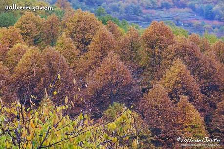 RUTA PR CC 10 (Las Juderías) RUTA PR CC 10 (Las Juderías)