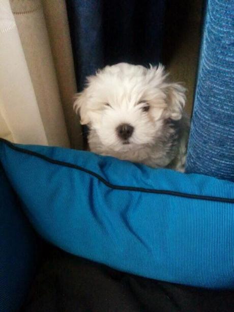 Retomando el Blog Retomando el Blog