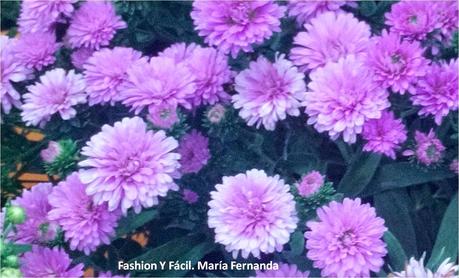 Cómo hacer un espantapájros para decorar en el otoño y el día de acción de gracias (A Scarecrow for thanks giving) Cómo hacer un espantapájros para decorar en el otoño y el día de acción de gracias (A Scarecrow for thanks giving)