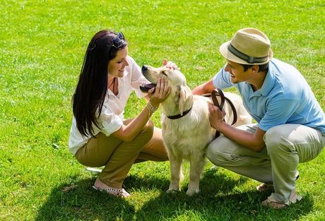 Cómo saber si mi perro me quiere: cuidados y nombres para tu mascota. Perro sonriendo