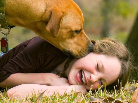 Cómo saber si mi perro me quiere: cuidados y nombres para tu mascota. Perro lamiendo la cara